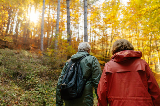 istock Exploring the forest on a beautiful autumn day 1426180860