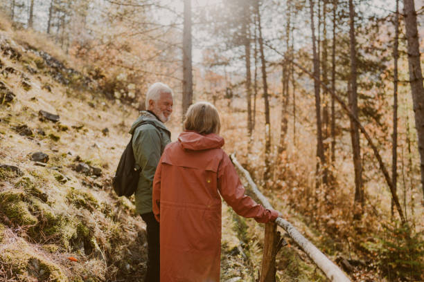 istock Exploring the forest on a beautiful autumn day 1426180861