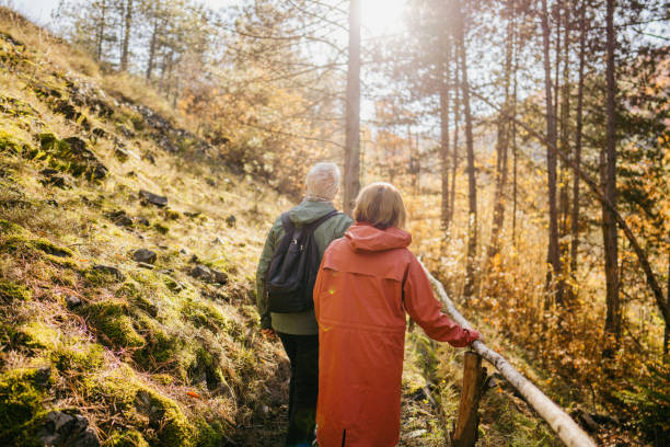 istock Exploring the forest on a beautiful autumn day 1426180892
