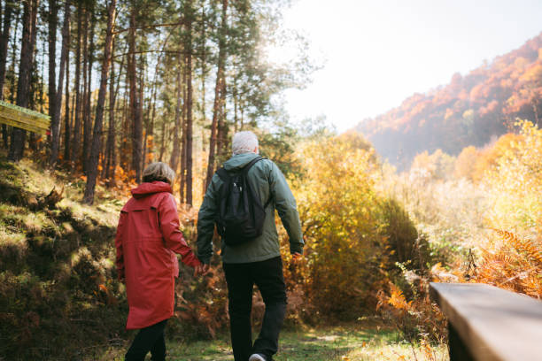 istock Exploring the forest on a beautiful autumn day 1426180901