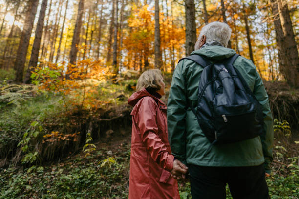 istock Exploring the forest on a beautiful autumn day 1426180905
