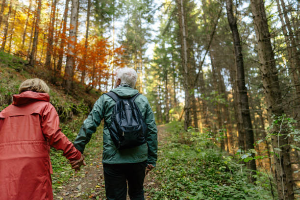 istock Our autumn adventure in the nature 1426180918