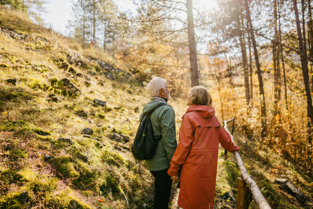 istock Exploring the forest on a beautiful autumn day 1426180922