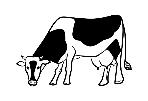 Ilustración de Vaca Está Pastando Ilustración Vectorial y más Vectores ...