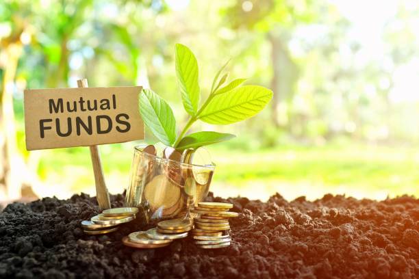 investment on mutual fund konzept. münzen in einem glas mit erde und wachsender pflanze im naturhintergrund. - mutual fund stock-fotos und bilder