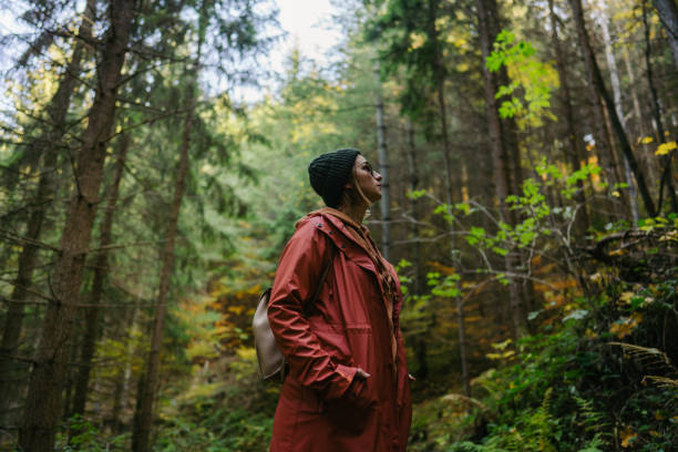 istock Hiking on a beautiful autumn day 1426182454