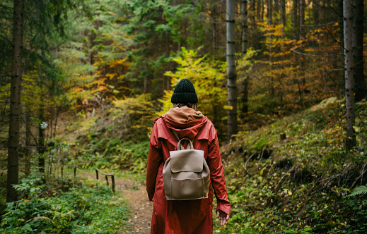 Photo of a young woman hiking through pine tree forest and enjoying beautiful autumn day she is spending outdoors alone