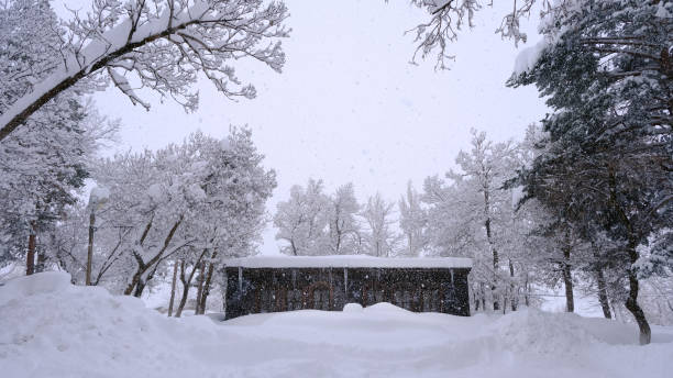 istock Snow covered stone house in the forest 1426184182