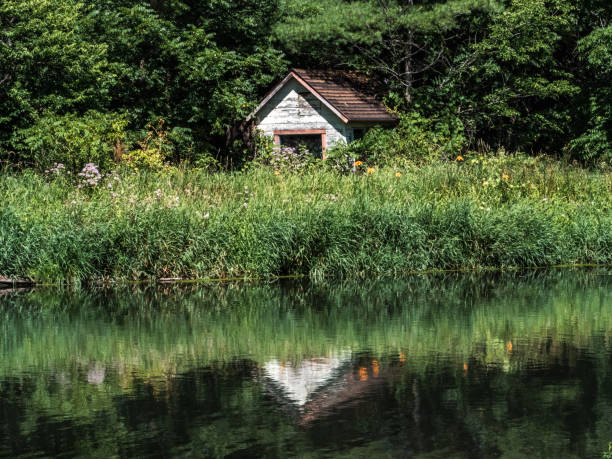 istock Overgrown, abandoned garden shed on a lakeshore 2 1426193600