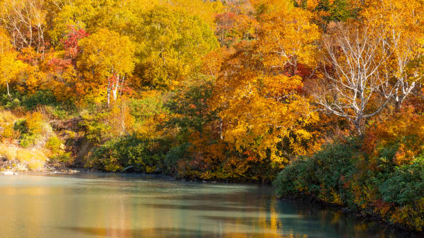 istock Japan in Autumn season 1426204308