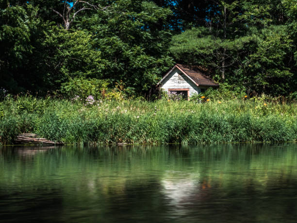 istock Overgrown, abandoned garden shed on a lakeshore 4 1426215134