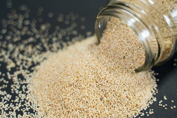 Poppy is a delicious food with many nutritional benefits.