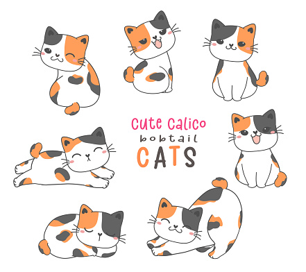 Cute Calico Bobtail Funny Cat Cartoon Doodle Animal Hand Drawing Vector  Stock Illustration - Download Image Now - iStock