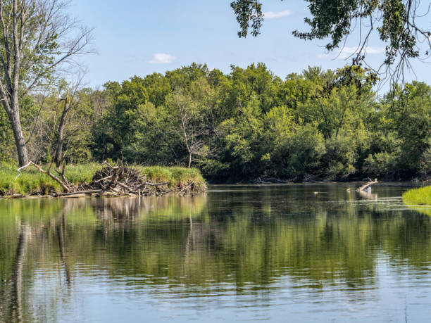 Mississippi River backwater islands 2