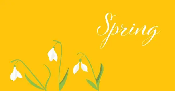 Vector illustration of Spring poster with snowdrops on yellow background