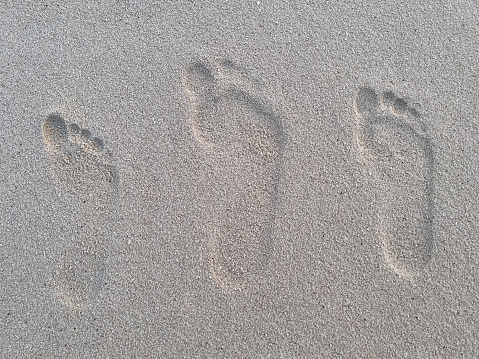 A duck's foot prints are left behind on a beach in Waterloo, Nebraska.