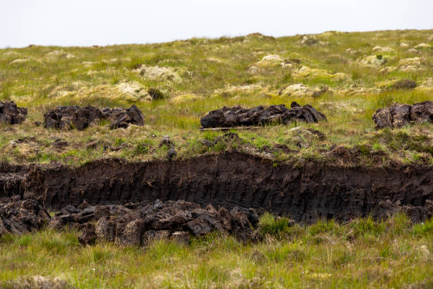 istock Peat or turf extraction in the Hebrides 1426218544