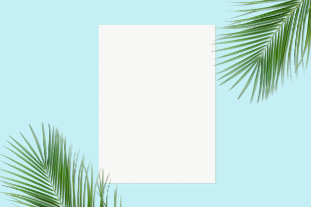 istock Green palm leaves and blank sheet on a blue background. 1426221089