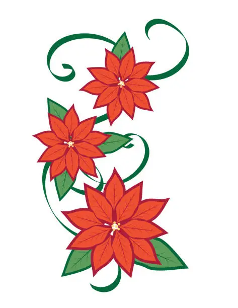 Vector illustration of Christmas Poinsettia Ornament On A Transparent Background
