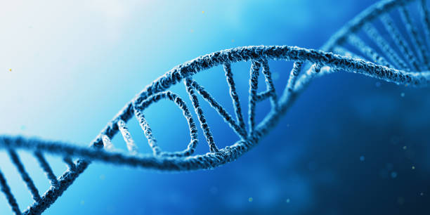 istock DNA Concept. On The Blue Background. 1426224520
