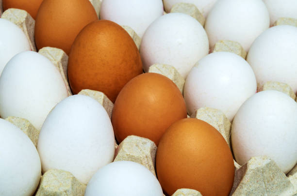 istock Fresh white and brown chicken eggs in tray. Egg is the main ingredient for cooking 1426229316