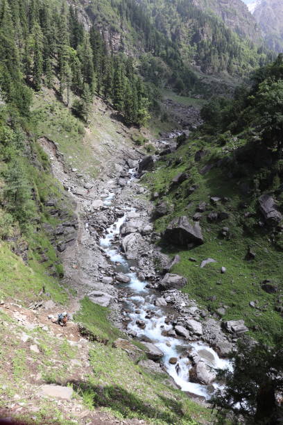 River inside the dense forest in himalaya