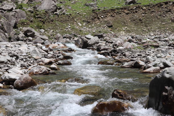 istock River inside the dense forest in himalaya 1426232260