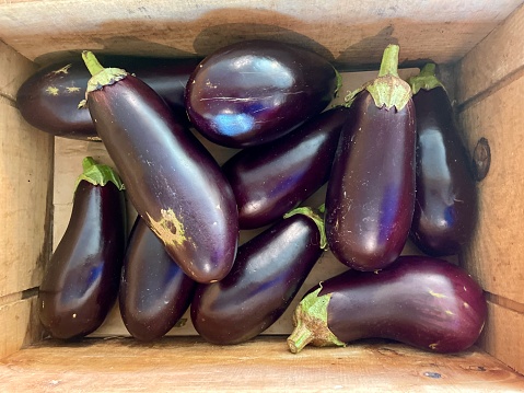 Raw Purple Organic Eggplants in a Wooden Crate (aubergine)