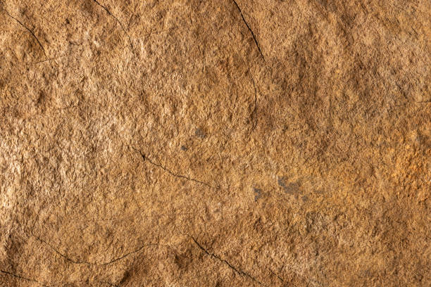 istock abstract of wooden background, wood texture 1426240199