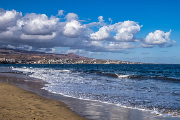 istock Sandy beach with black stones at Punta de Maspalomas, Gran Canaria, Spain 1426242163