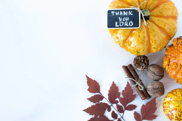 Autumn white background with pumpkin and leaves and a handwritten note: "Thank You, LORD". Copy space. Top table view. Thanksgiving day, Christian blessing and gratitude, biblical concept.