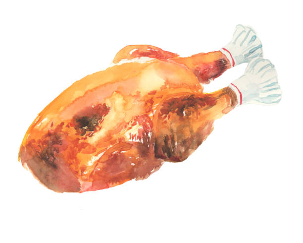 ilustracja pieczonego kurczaka pomalowanego akwarelą - roast chicken illustrations stock illustrations