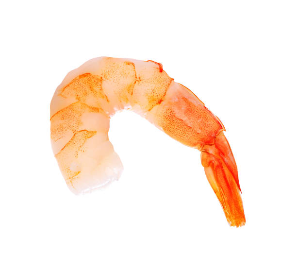 istock tiger shrimp isolated on white 1426251155