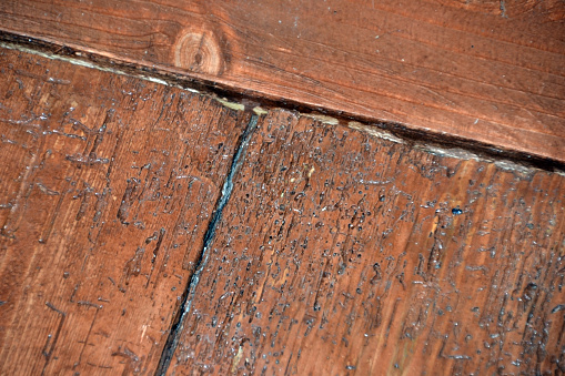 Old untreated wood as texture or background.