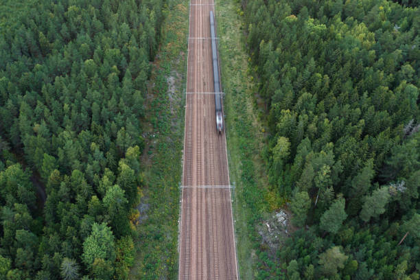 istock Train on a railroad in a forest landscape 1426252833