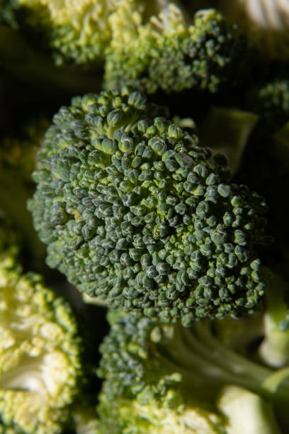 istock Lots of fresh raw broccoli close up. 1426253654