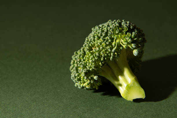 istock Fresh raw broccoli on a green background. Place for text. 1426253673