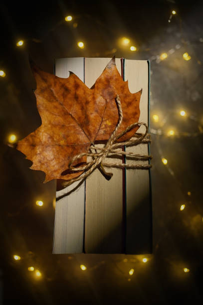 istock Autumn Dry Leaf On Closed Books From Above 1426260853