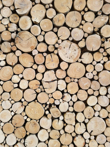 istock Sawn Wood - Lumber Industry 1426269271