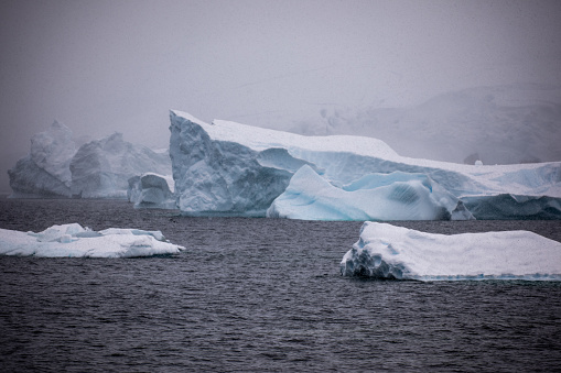 Antarctic Peninsula