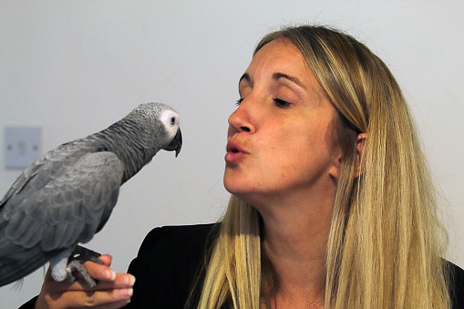 A woman about to kiss her African Grey Parrot that is perched on her hand. These birds are known for their intelligence, ability to talk and their red tails.