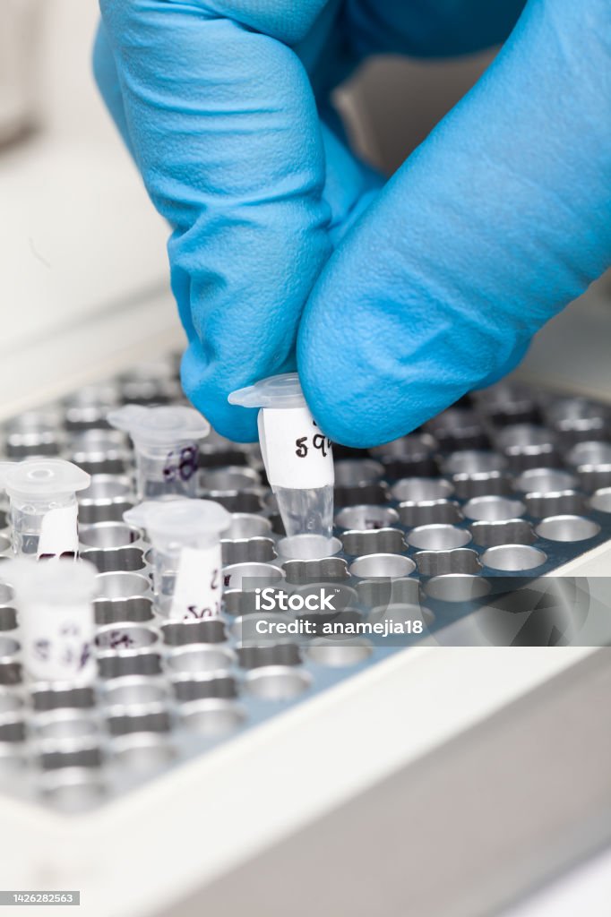 Closeup of a scientist hand while working at the laboratory with a thermal cycler. Polymerase chain reaction technique. PCR technique Polymer Sequencing Stock Photo