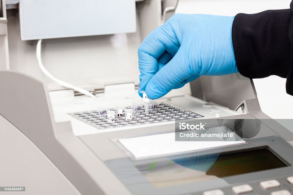 Closeup of a scientist hand while working at the laboratory with a thermal cycler. Polymerase chain reaction technique. PCR technique Polymer Sequencing Stock Photo