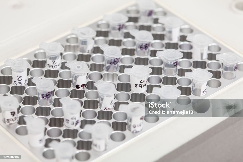 Closeup of test tubes at a thermal cycler block in a molecular biology laboratory. Polymerase chain reaction technique. PCR technique Bacterium Stock Photo