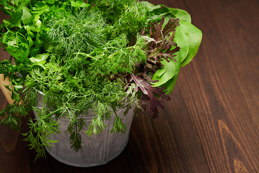 a top of bunch of green dill, parsley, salad and other greens in an iron bucket, dark wooden background, concept of fresh vegetables and healthy food