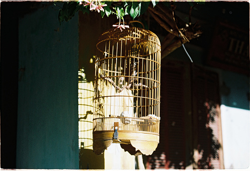 A bird cage hanging onto the roof of an old-style house in Hoi An