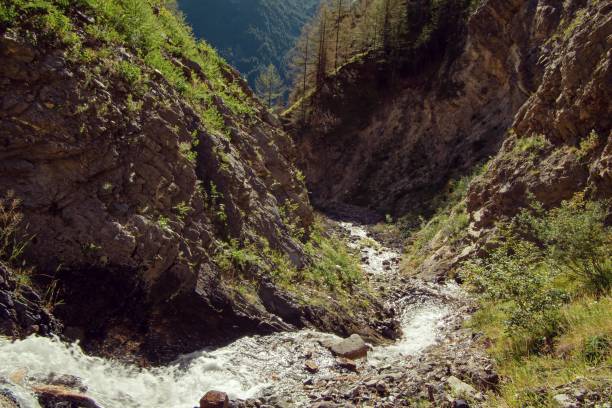 corriente - stream forest river waterfall fotografías e imágenes de stock