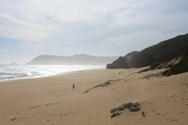 The beach is located to the west of Mossel Bay, streching near endlessly to the far away cliffs