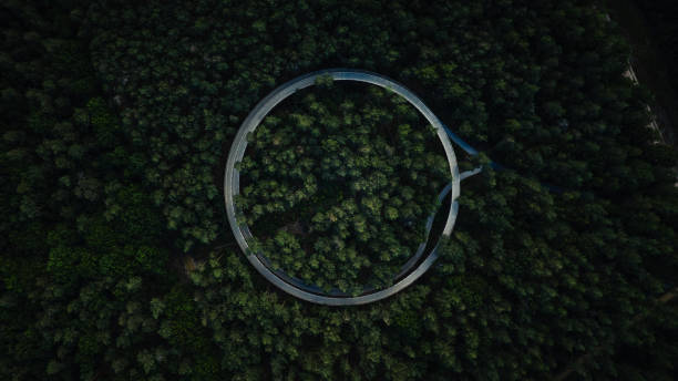 vista aerea di una strada circolare in una foresta - country road foto e immagini stock