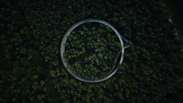 Aerial view of a circular road in a forest